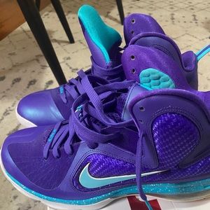 Lebron 7 hornets